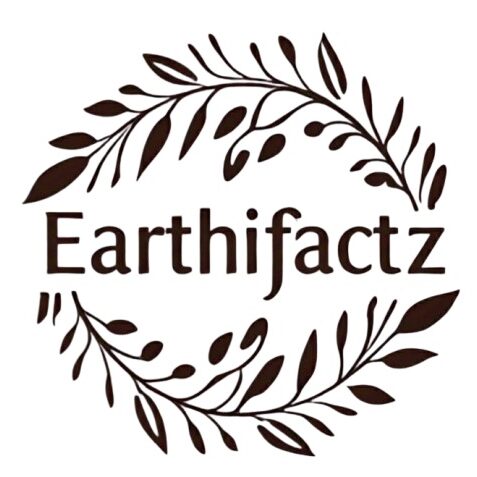 Earthifactz Logo